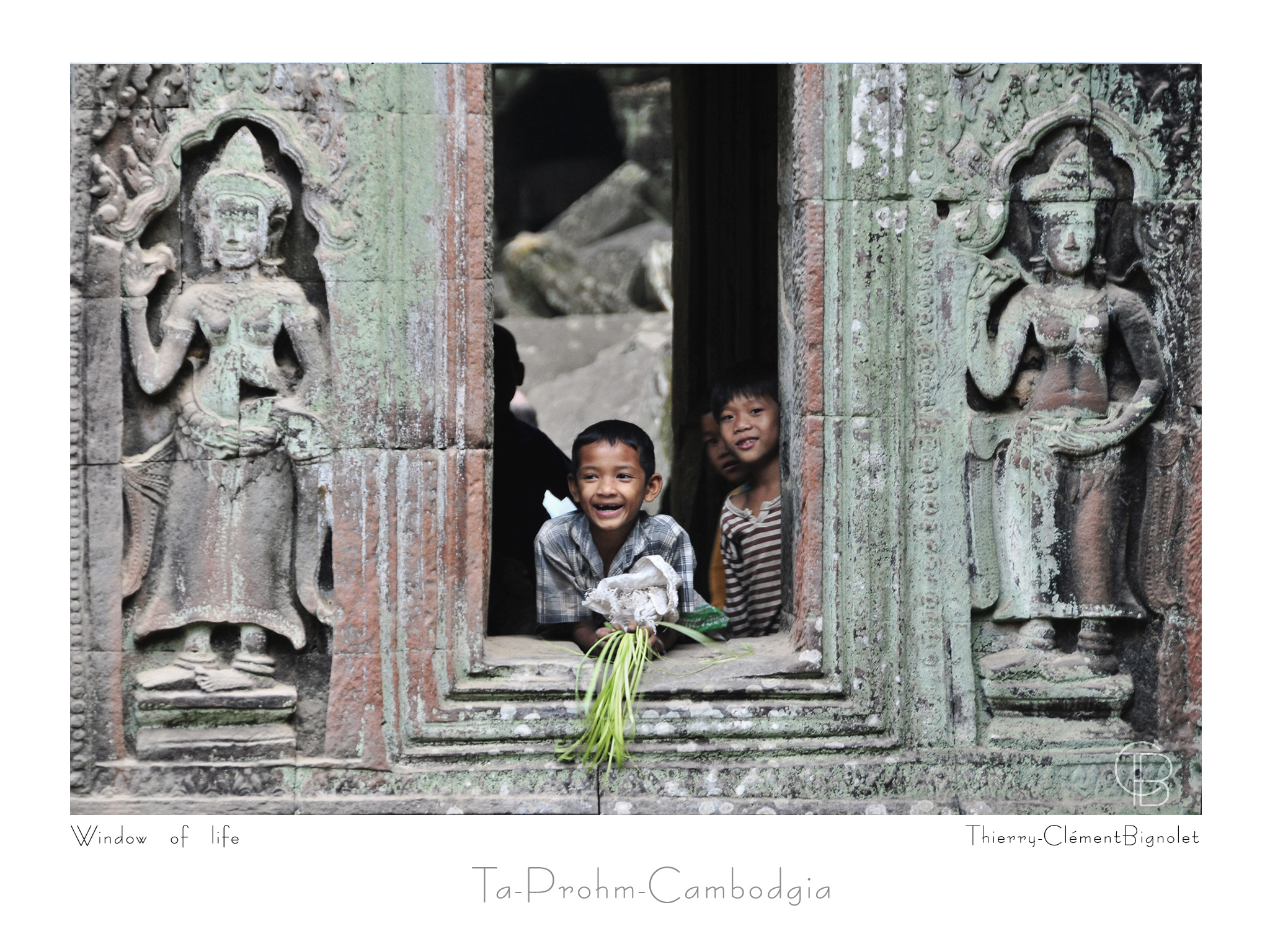Window of Life1